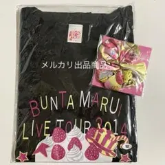 CANDY TUNE 立花琴未Tシャツ・タオル・ぬいぐるみ - メルカリ