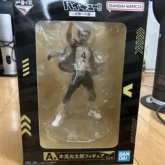 Item thumbnail for item b1bd5561-fa02-4552-9319-432c465e51f9