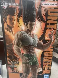 一番くじ HUNTER × HUNTER ラストワン賞 ゴン 成長