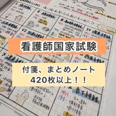 看護師国家試験まとめノート A469枚 付箋420枚以上
