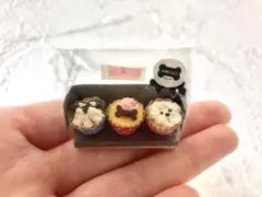 ミニチュアカップケーキ3個セット