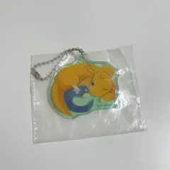 ポケモン　TAIKIBANSEI 大器晩成　ミニリュウ　カイリュー　キーホルダー