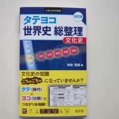 タテヨコ世界史総整理文化史