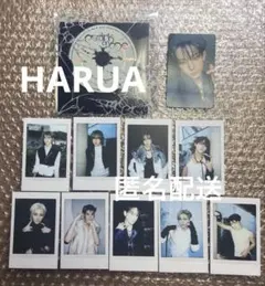 &TEAM Mark on Me ミニCD盤　HARUA限定トレカ付