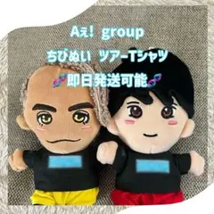 ようちゃん様オーダー専用*.꒰  今ツアー 新白衣装 ちびぬい ꒱.*　ツアー 2025年最新】ちびぬい 服 aぇ ツアーの人気アイテム - メルカリ