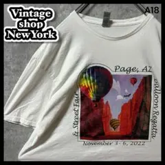 USA輸入　ビッグシルエット　白Tシャツ　オーバー 　絵画　カラフル　ヨーロッパ