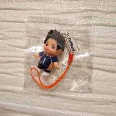 澤村大地 ハイキュー!! コスチュームキューピー ユニフォーム