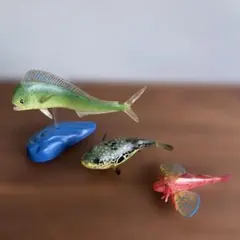 魚のフィギュア 3体セット