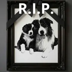 Item thumbnail for item 71871eb9-5e42-4da4-85b5-5fabdabb68a6