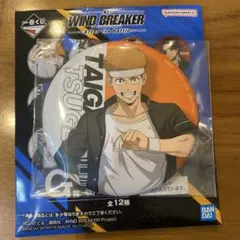 WINDBREAKER 柘浦大河G賞 缶バッチ