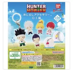 HUNTER×HUNTER めじるしアクセサリー G.I.編 コンプリートセット