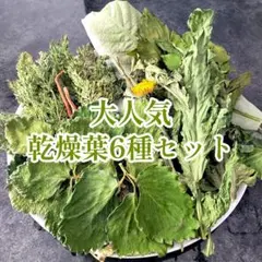 【ジュークFAMILYのおやつ】旬の乾燥葉6点セット♪小動物 うさぎ チンチラのサムネイル