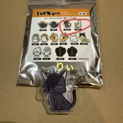 Item thumbnail for item d898b2a5-bc2d-432d-b321-fcb1d964f94e