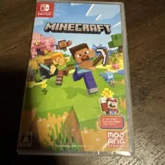Switch Minecraft
