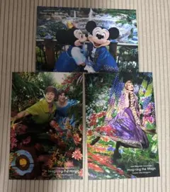 東京ディズニーリゾート ポストカード 3枚セット