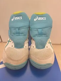 Item thumbnail for item c5d53721-6f61-4f52-8a0c-81277fecd40a