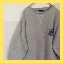アメリカ 古着 トレーナー フロリダ カレッジ L相当