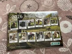 Item thumbnail for item 27eabd8f-7d11-4327-b18b-5041da21b080