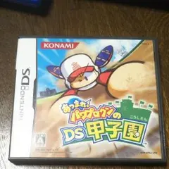 あつまれ!パワプロクンのDS甲子園