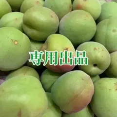 【あらこらちゃん様専用】紀州南高梅　青梅　優品・良品　2L・3L　6kg　送料込