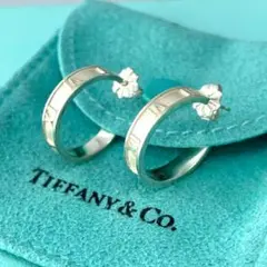 2025年最新】TIFFANY ピアス(両耳用)の人気アイテム - メルカリ