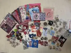 TDR カプセルトイ カスタムアクセサリー クリアファイル ワッペン