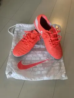 ティエンポレジェンド　10 エリートAG-PRO 26cm