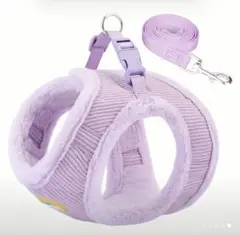 Item thumbnail for item 916f1182-4dcf-4c5d-bc8a-b9b4d55341f2