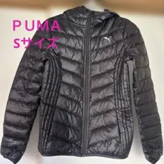 ＰＵＭＡダウンJＫ