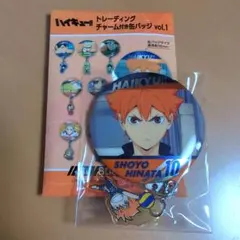 ハイキュー!!　トレーディングチャーム付き缶バッジ vol.1　日向翔陽