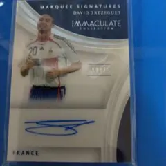 2017PANINI IMMACULATE David Trezeguet