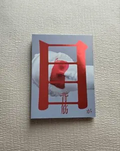 目が