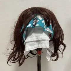 Item thumbnail for item 0f5f41c0-1483-459a-9ec8-20f143694c17