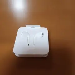 iPhone Apple イヤホン 純正品 Lightning イヤホン
