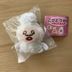 こびとづかん　ぬいぐるみ　ガチャガチャ　カクレケダマ