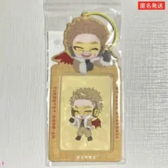 僕のヒーローアカデミア ヒロアカ PVC カードケース ホークス