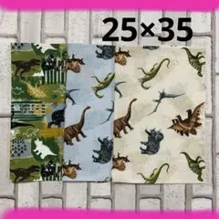 恐竜柄給食３枚セット ランチョンマット(25×35)ハンドメイド男の子