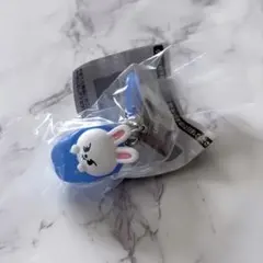 SKZOO めじるしアクセサリー ソロキャンプ リービット Leebit
