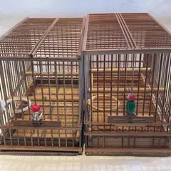 ☆メジロ籠と寝かせ箱のセット☆中古☆2026年7月11日更新☆木製 鳥かご