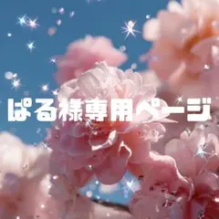 ぱる様専用ページ②