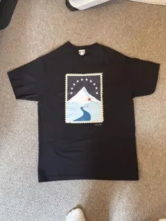 summit 10周年記念tシャツ Mサイズ