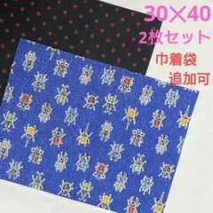 虫 ランチョンマット 30×40 2枚セット 男の子 給食ナフキン 小学生 32