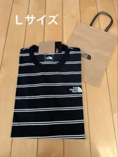 THE NORTH FACE ストライプ Tシャツ