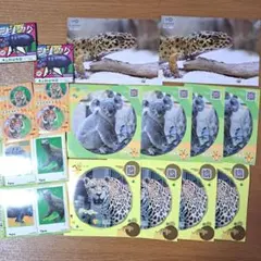 東山動物園 非売品ステッカー ポストカード