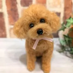 トイプードル♡レッドのサムネイル