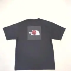 美品 ノースフェイス National Flag Square Logo XXL