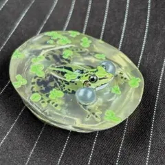 オタマジャクシ標本 4体セット　カエル　おたまじゃくし　変態　標本　レジン オタマジャクシ標本 4体セット カエル おたまじゃくし 変態 標本
