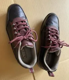 Item thumbnail for item 46c50c74-548e-4490-bd24-7b53ae0c5a0b