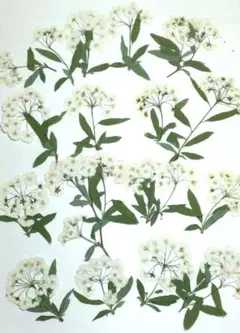 tktk様 リクエスト 3点 まとめ商品