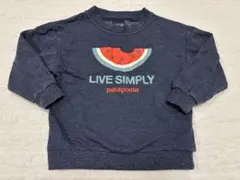 パタゴニア　裏起毛トレーナー　2T